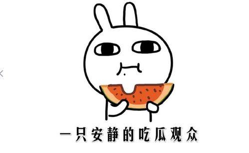 反差吃瓜在线黑料,揭秘娱乐圈幕后黑料风云